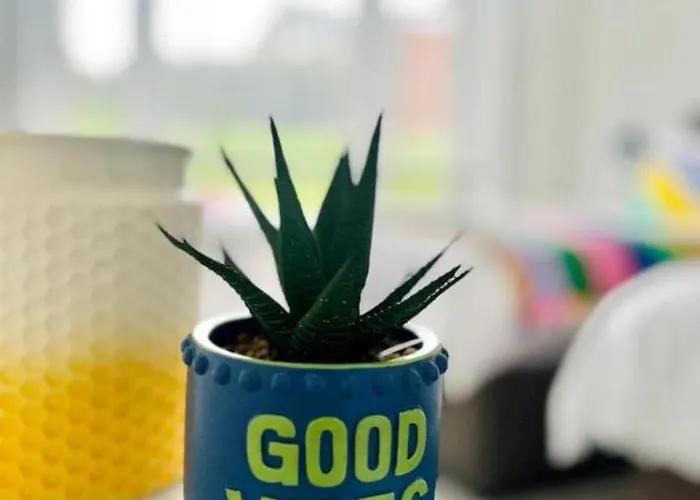 Clyde Fifty Two - Glasgow