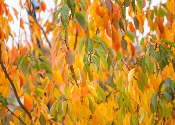 Apartment Family Getaway In Southside