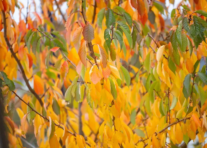 Family Getaway In Southside * Glasgow