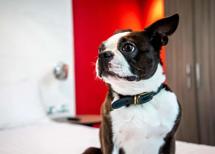 Ibis Styles 3* Glasgow