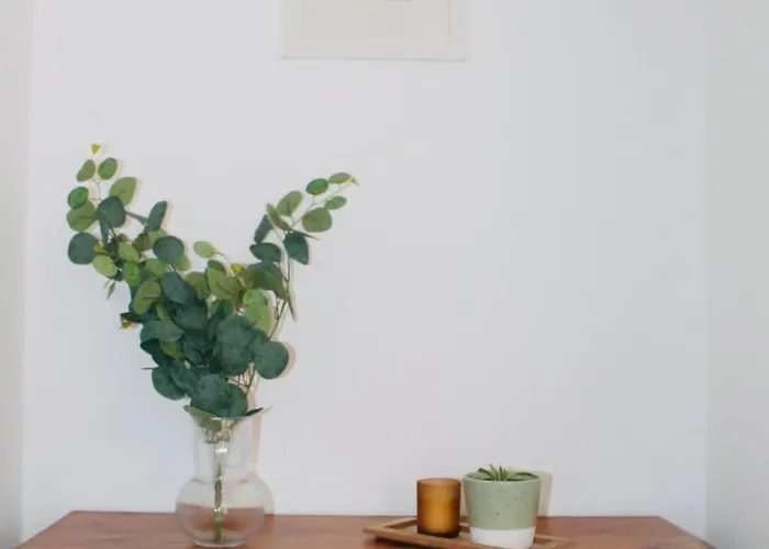 Modern Ground Floor 2 Bed Secure Parking & Perfect For City- Celticemirates Stadium * 格拉斯哥