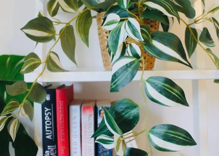 公寓 Modern Ground Floor 2 Bed Secure Parking & Perfect For City- Celticemirates Stadium *