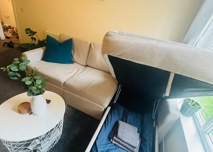 Modern Ground Floor 2 Bed Secure Parking & Perfect For City- Celticemirates Stadium 格拉斯哥