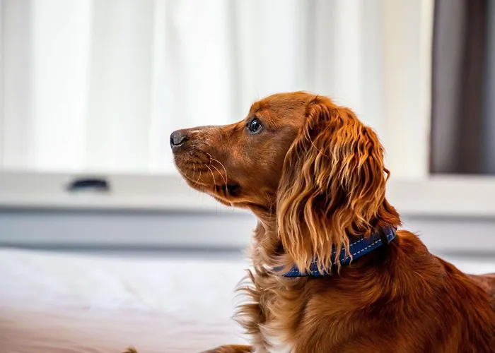 Otel Ibis Styles Glasgow