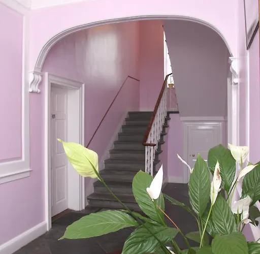 52 Charlotte Street , ,city Center *