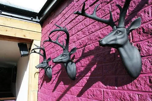 宾馆 德里门住宿加早餐旅馆