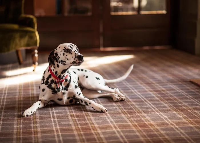 West By Compass Hospitality Glasgow