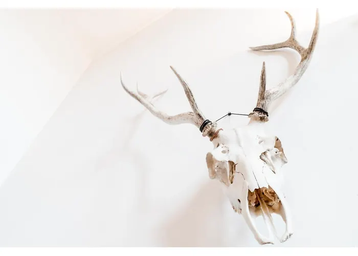 Beautifully Kept Mezzanine Flat ★school Of Art★ Glasgow