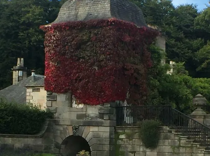 Апартаменты Trefoil - 2 Bedrooms Глазго