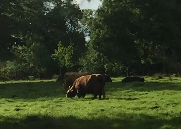 Trefoil - 2 Bedrooms Appartement