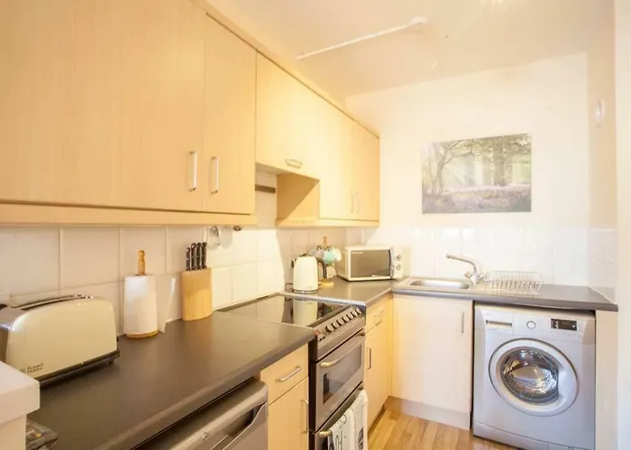 Stylish Merchant Flat *