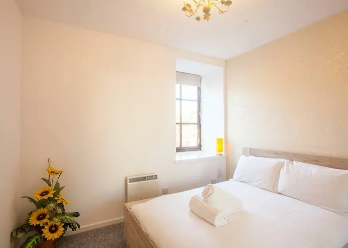 Stylish Merchant Flat