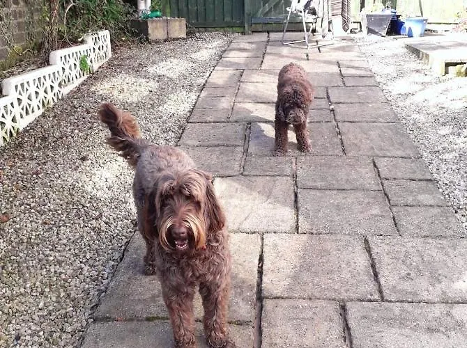 Emo Γλασκώβη