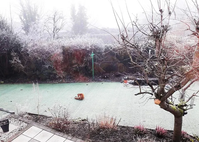 Emo * Γλασκώβη