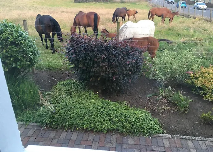 Auchenlea Глазго