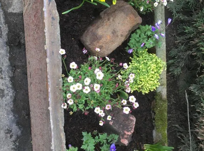 Auchenlea Gerendaház *