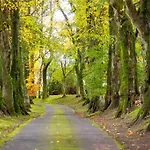 Park Of Drumquhassle 4*