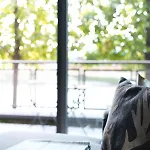 Riverside West End Apartmán Glasgow