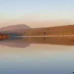 Edenmill Farm גלאזגו