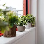 Botanic House - 3br - Private Parking Vakantiehuis *