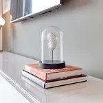 דירה Secc Hydro Executive 7