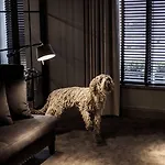 Dakota 5*