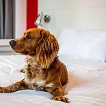 Hotel Ibis Styles Glasgow