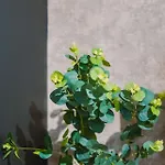 Sleepluxury Aparthouse Prázdninový dům