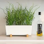 32 Victoria Crescent Road *