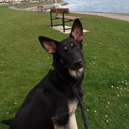 홈스테이 Large Cosy In G3 *