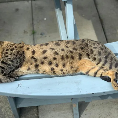 The West Highland Way And Retreat Hotel 5*