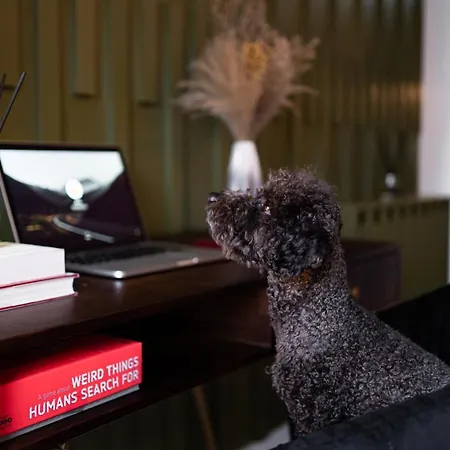 Lejlighed The Arran - Your Stylish Scottish Getaway! *