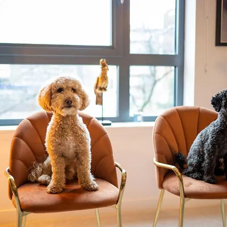 Apartment The Arran - Your Stylish Scottish Getaway! *