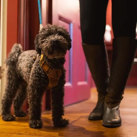 Daire Huntly House - A Like No Other Glasgow