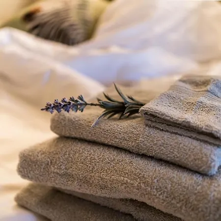 Huntly House - A Like No Other