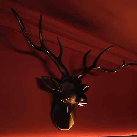 Huntly House - A Like No Other *