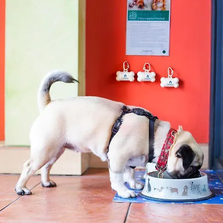 Campanile Secc Hydro 3* Glasgow