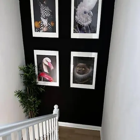 3 Bedroom/3 Bathroom Large Flat Near Ovo Hydro Apartment *