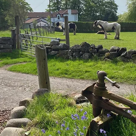 The Fells - Campsie Luxury Pods With Hot Tub Lüks kamp alanı *