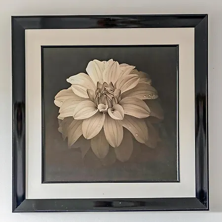 2bed East End Gem With Free Parking *