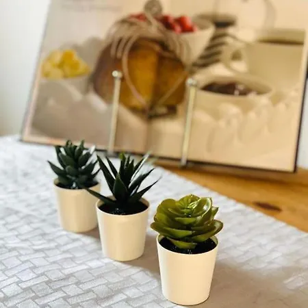 Lejlighed 2 Bed Entire Upper Flat In