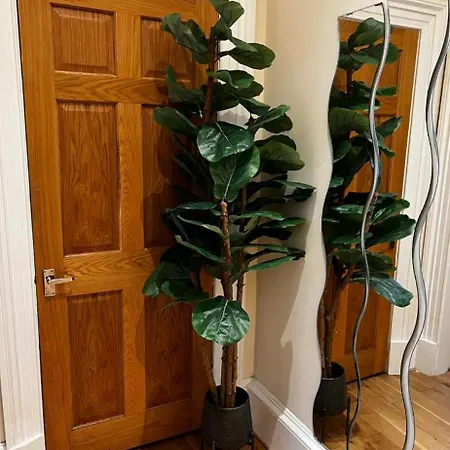 Hampden Hues * Glasgow