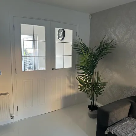 Black Daisy * Glasgow