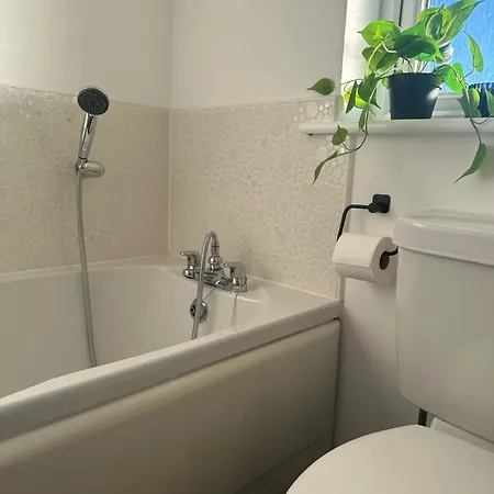 Black Daisy Γλασκώβη