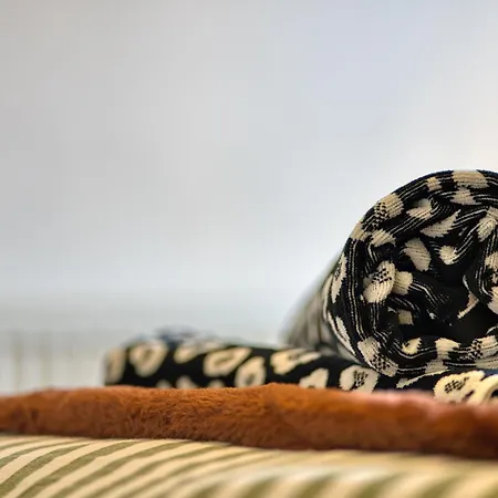 Bright 2 Bedroom With Free Parking Apartment *