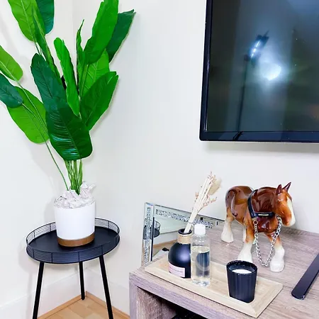 Centre Stylish Flat *