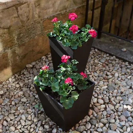 Elegant West End Flat In Apartment