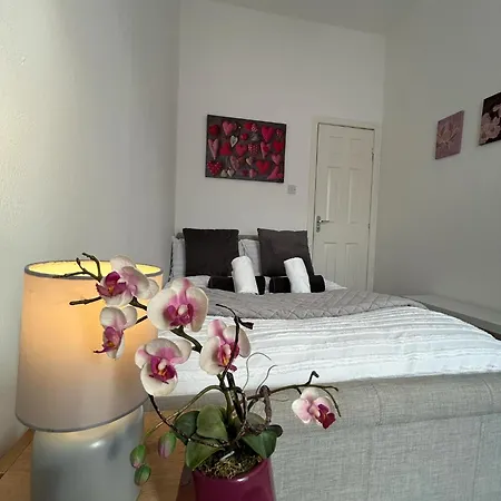 Cozy, Modern Flat In Govan