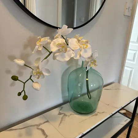 Modern Economy With King Bed 公寓 *