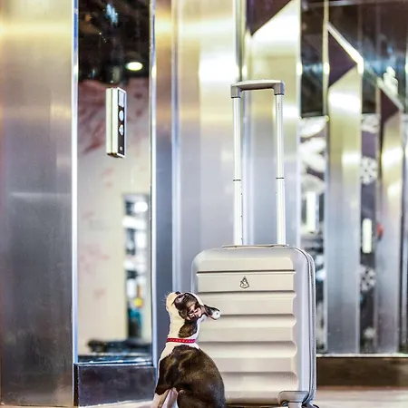 Radisson Red Hotel, 4*